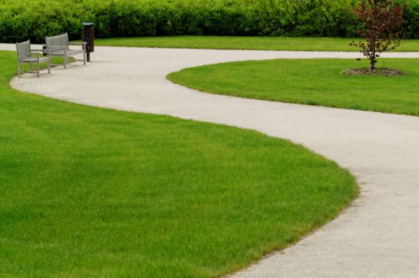 Cost of Concrete Walkway Installation in Lithonia