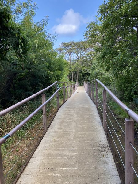 Cost of Footpath Construction in Lithonia