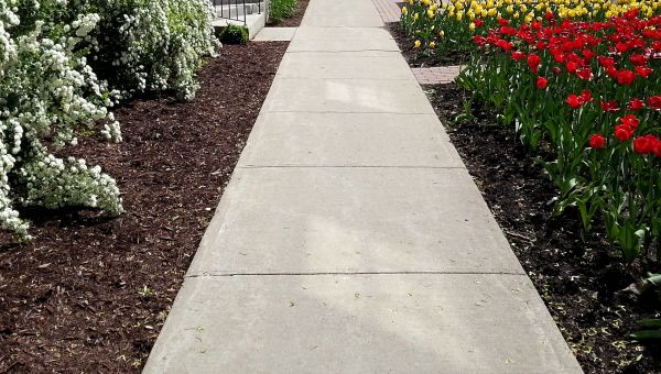 Cost of Sidewalk Slab Replacement in Lithonia
